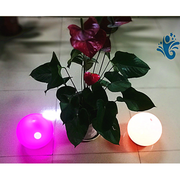 Popular LED Light Ball